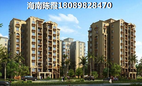 群星国际怎么样？
