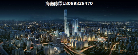 白鲸公馆 一居  户型图